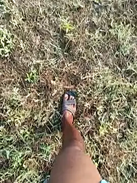 dolphiinn online show from March 8, 2026, 2:04 am