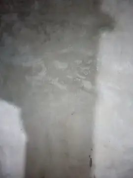 milo123-xx online show from February 8, 2026, 2:48 pm