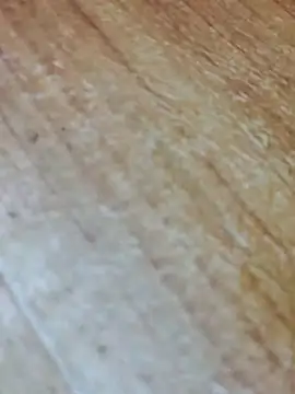 Markroco696 online show from November 13, 2025, 5:22 am