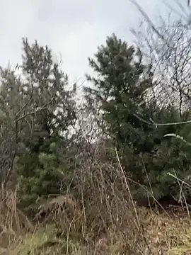 desiredude9 online show from November 2, 2025, 9:58 am