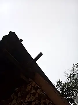 Ngocmi909 online show from January 16, 2026, 12:58 am