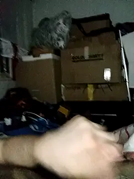 LolGamer54321 online show from February 16, 2026, 11:46 pm