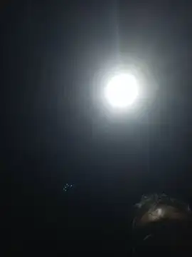 sexy and hot 1 online show from February 12, 2026, 3:56 pm