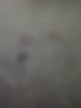 Rimvideo online show from July 7, 2026, 8:23 pm
