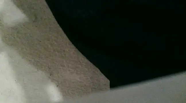 sexypunjabi26 online show from January 8, 2025, 11:21 am