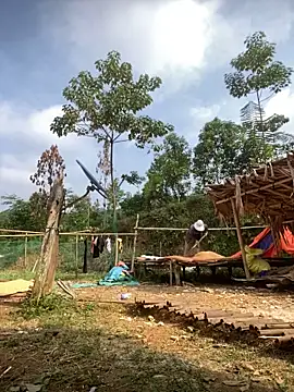 Dunmii online show from November 7, 2025, 2:27 am