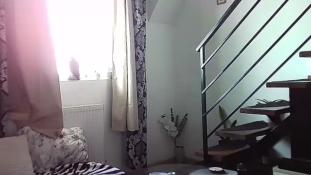 RyanStorm  online show from September 12, 2025, 10:37 am