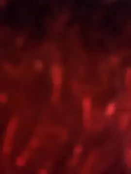 Snapshot of julieta_evanns1 chatting on September 25, 2025, 11:27 am julieta evanns1 online show from September 25, 2025, 11:27 am