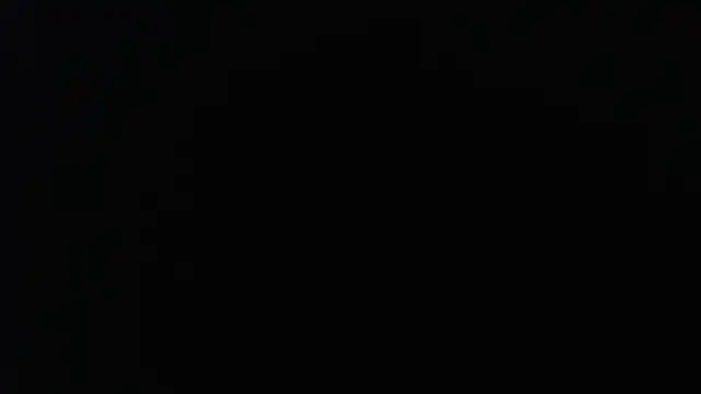 knodli online show from November 19, 2025, 11:32 am