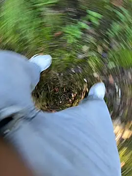 amo660 online show from September 20, 2025, 10:09 am