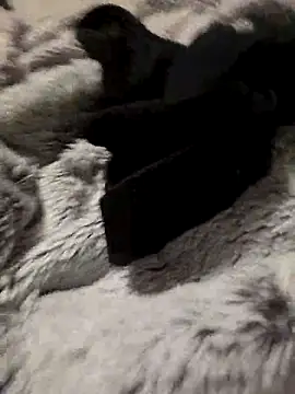 Snapshot of bigdicksklave chatting on October 31, 2025, 7:54 pm bigdicksklave online show from October 31, 2025, 7:54 pm