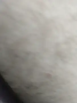 Snapshot of Yhnist34 chatting on September 18, 2025, 1:08 am Yhnist34 online show from September 18, 2025, 1:08 am