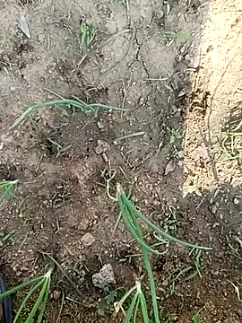  ad josep online show from February 28, 2026, 3:28 am