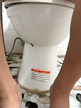 tran my online show from October 31, 2025, 5:04 am