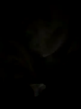 tran my online show from October 29, 2025, 5:06 am