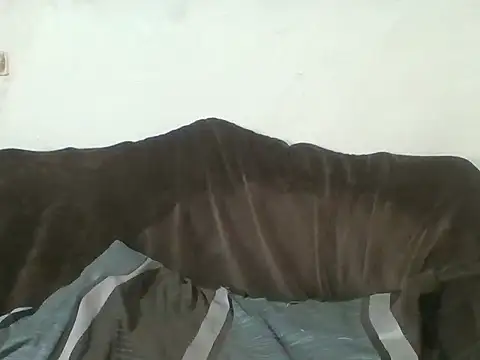 EllipticalImage30 online show from September 9, 2025, 4:16 pm