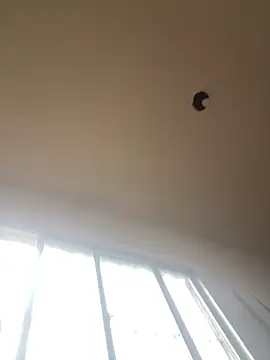 Snapshot of Katianesantos chatting on March 1, 2026, 1:55 pm Katianesantos online show from March 1, 2026, 1:55 pm