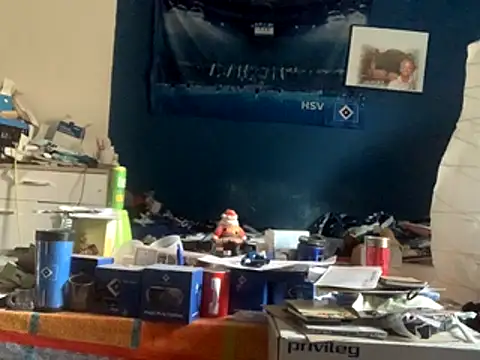 GeilerHSVFAN1989 online show from November 12, 2025, 11:25 am