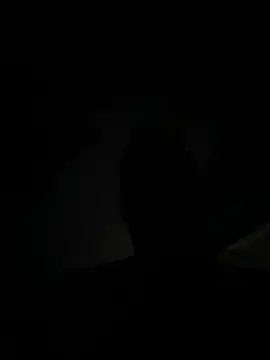 Snapshot of CorningReactor chatting on January 15, 2026, 3:32 am CorningReactor online show from January 15, 2026, 3:32 am