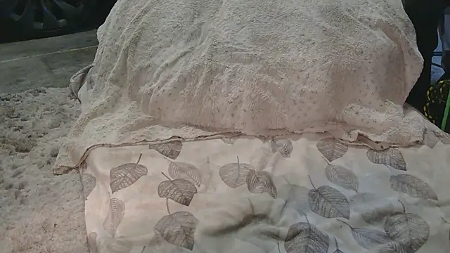 Snapshot of Gmajor chatting on March 15, 2026, 12:39 am Gmajor online show from March 15, 2026, 12:39 am