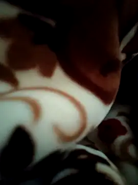 Snapshot of Hot_pooja55 chatting on February 11, 2026, 6:57 am Hot pooja55 online show from February 11, 2026, 6:57 am