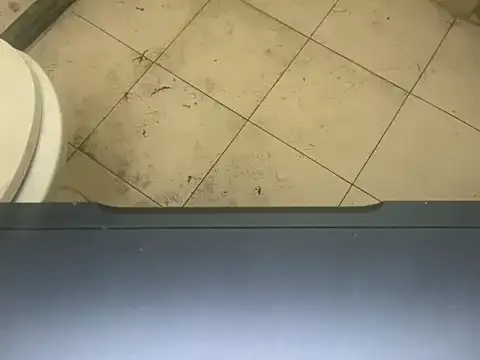 LustyDuoSecrets online show from November 3, 2025, 4:32 pm