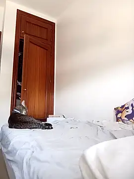 oscartres online show from September 19, 2025, 9:24 am