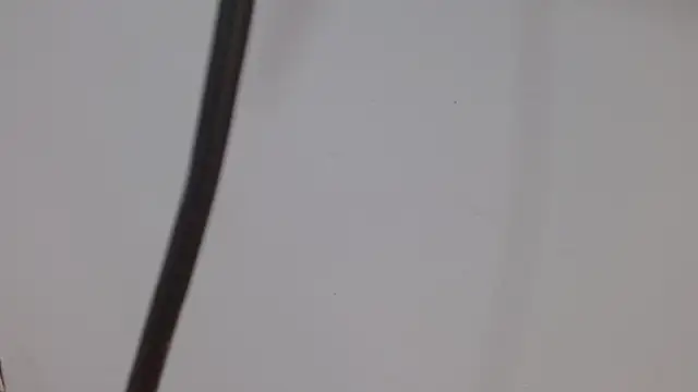 kiity horny  online show from October 3, 2025, 12:06 pm