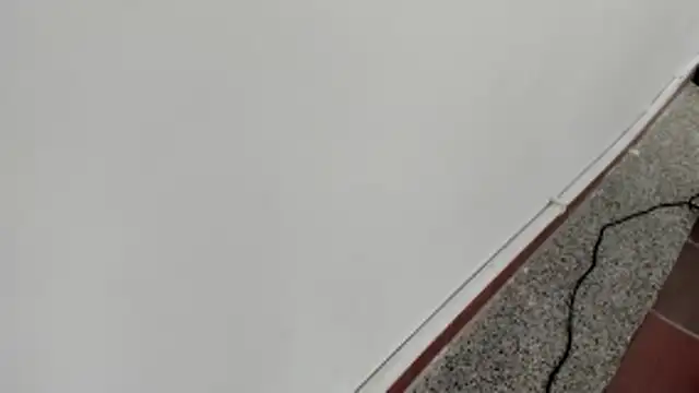 michelle perla online show from January 15, 2026, 7:06 pm