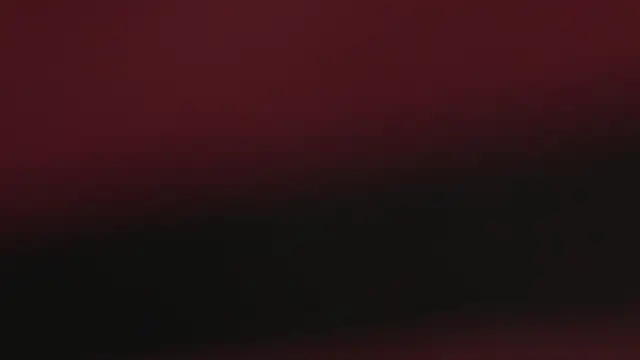 payaltst online show from February 11, 2026, 4:45 am