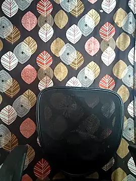 telugu pellam online show from February 28, 2026, 9:20 am