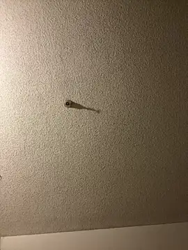 aurorasparkles online show from September 24, 2025, 2:45 pm