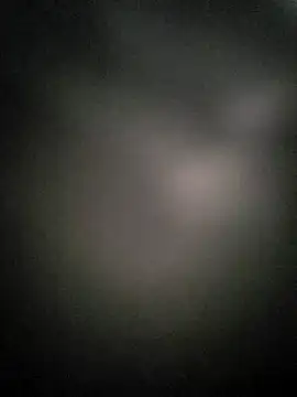 Snapshot of dogslavehf chatting on September 22, 2025, 5:30 pm dogslavehf online show from September 22, 2025, 5:30 pm