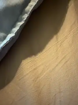 Snapshot of StudiedJoint85 chatting on November 24, 2025, 5:02 pm StudiedJoint85 online show from November 24, 2025, 5:02 pm