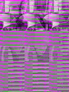 Snapshot of WWGD69 chatting on October 31, 2025, 11:40 am WWGD69 online show from October 31, 2025, 11:40 am