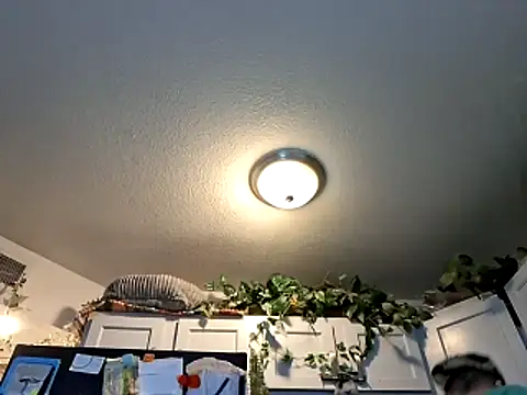 Snapshot of WWGD69 chatting on March 3, 2026, 2:29 am WWGD69 online show from March 3, 2026, 2:29 am