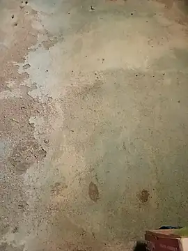 Jivika Jaiswal online show from February 1, 2026, 10:35 am