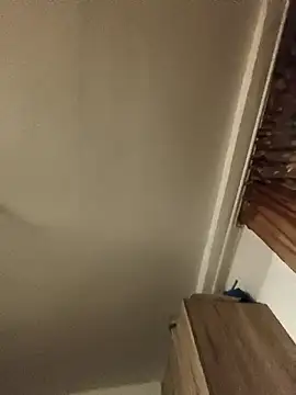 Sakura 2000 online show from January 31, 2026, 11:03 pm