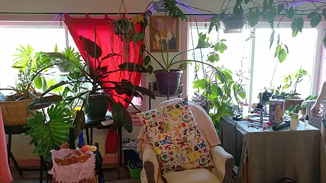 kinkycanner online show from July 15, 2026, 1:01 am