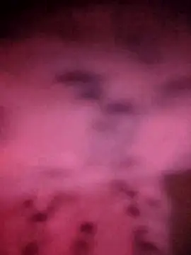 LUCKY cut online show from November 20, 2025, 4:18 pm