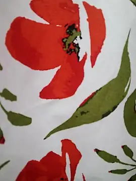 Snapshot of _tetas_92 chatting on February 18, 2026, 2:24 pm tetas 92 online show from February 18, 2026, 2:24 pm