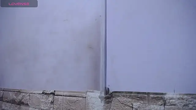 Bicky 24 online show from February 25, 2026, 9:20 am