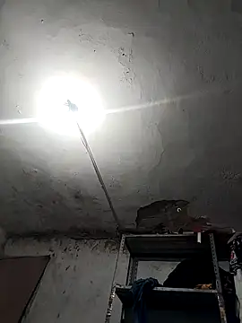 Snapshot of Ferxxxo1503 chatting on November 26, 2025, 4:23 am Ferxxxo1503 online show from November 26, 2025, 4:23 am