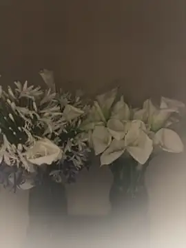 Snapshot of SLNatasha chatting on March 1, 2026, 3:06 am SLNatasha online show from March 1, 2026, 3:06 am