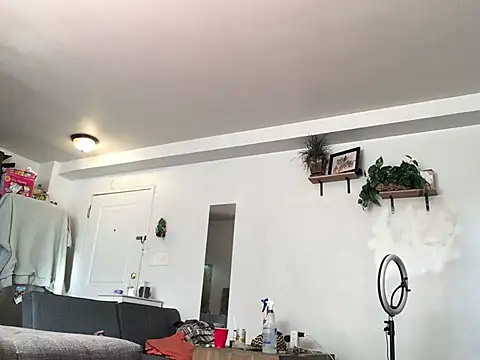 littyleesh1 online show from January 13, 2026, 4:00 pm