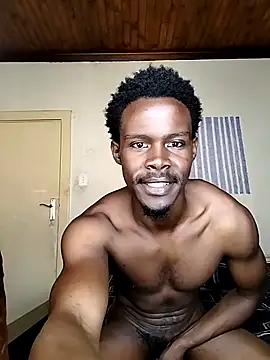 donchico0 online show from February 10, 2026, 7:40 am