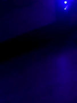 Big Ass Black Cock online show from October 19, 2025, 2:36 am