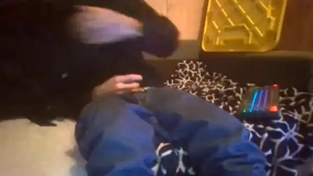 Snapshot of Sillycatfish chatting on December 20, 2025, 9:56 am Sillycatfish online show from December 20, 2025, 9:56 am