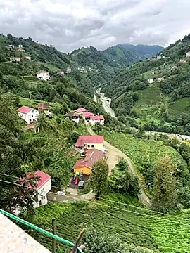 LAZ3R1 online show from October 2, 2025, 10:29 am