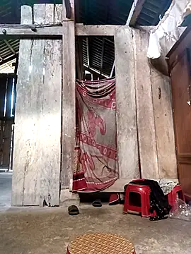 riso-00 online show from November 9, 2025, 7:01 am